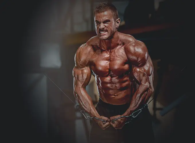 bodybuilding experts springfield il